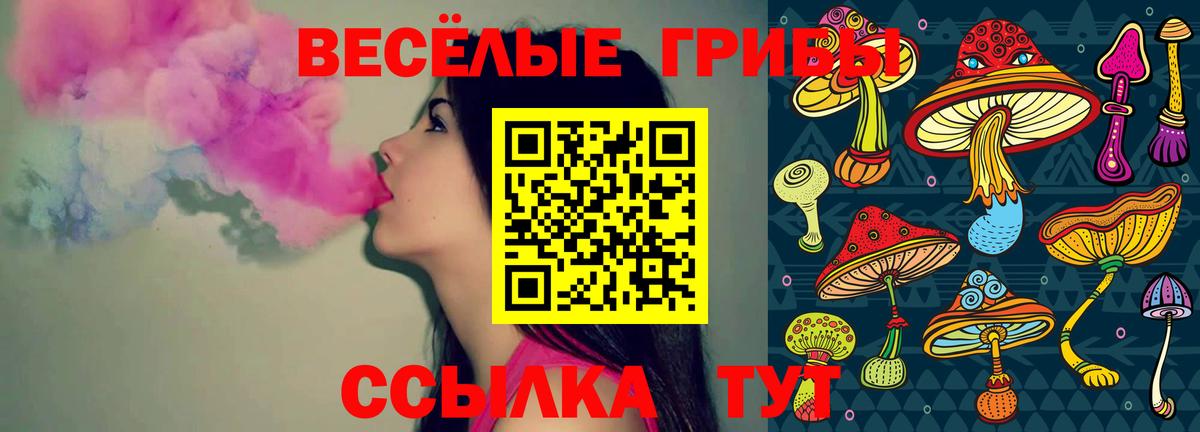 Пугачёв  Галлюциногенные грибы Magic Shrooms  Вход с VPN 